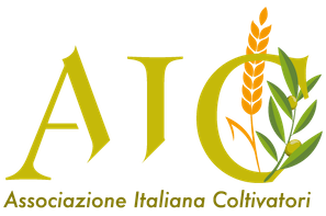 Home 5 AIC logo